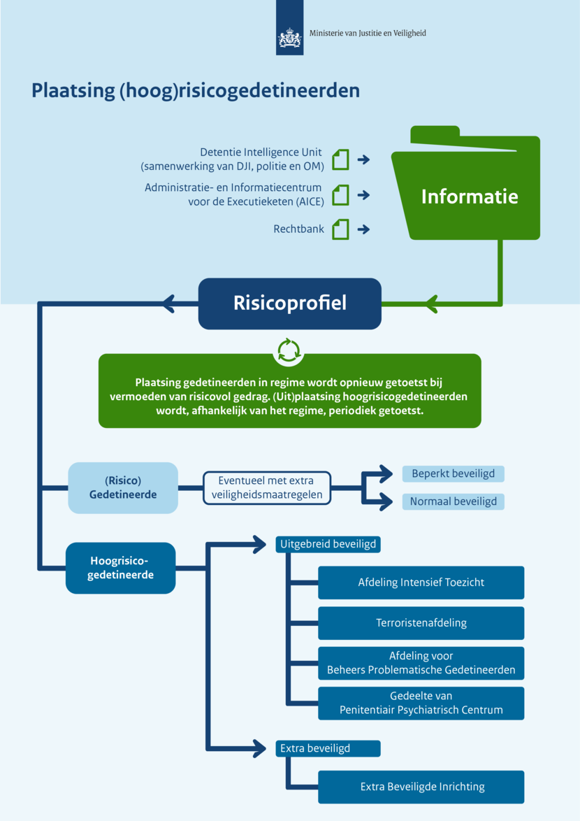 Detentielandschap stroomschema