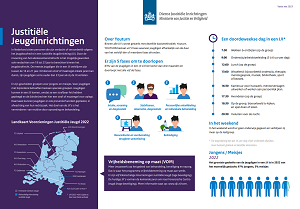 Illustratie voorbeeld infographic