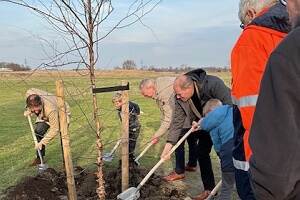 Afbeelding eerste boom geplant JC Vlissingen